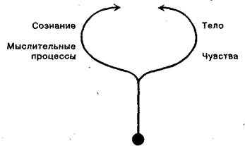 Что такое биоэнергетика? - student2.ru