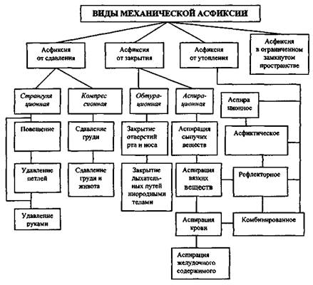 Механическая асфиксия - student2.ru