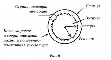 Самообладание и способность сказать «нет» - student2.ru