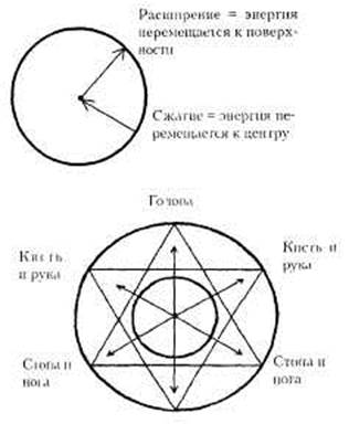 Структурная динамика тела - student2.ru