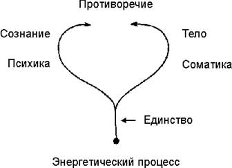 Структурная динамика тела - student2.ru