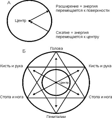 Структурная динамика тела - student2.ru