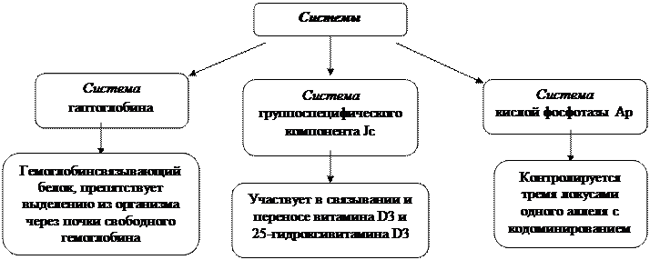 Тканевая иммунная система крови – система тканевой совместимости HLA - student2.ru