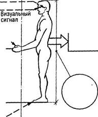 и психофизиологические факторы - student2.ru