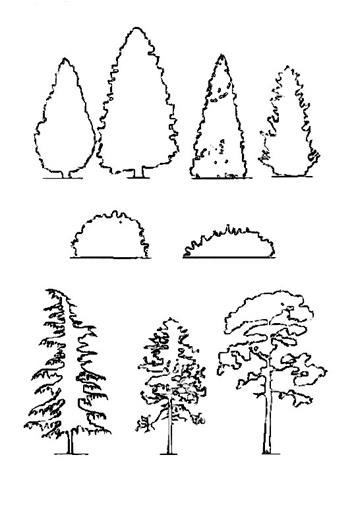 Тема № 2. Разбор понятий формы, фактуры, текстуры дерева - student2.ru