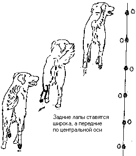 лингвинистическая семантика и оптическая иллюзия приводят в замешательство - student2.ru