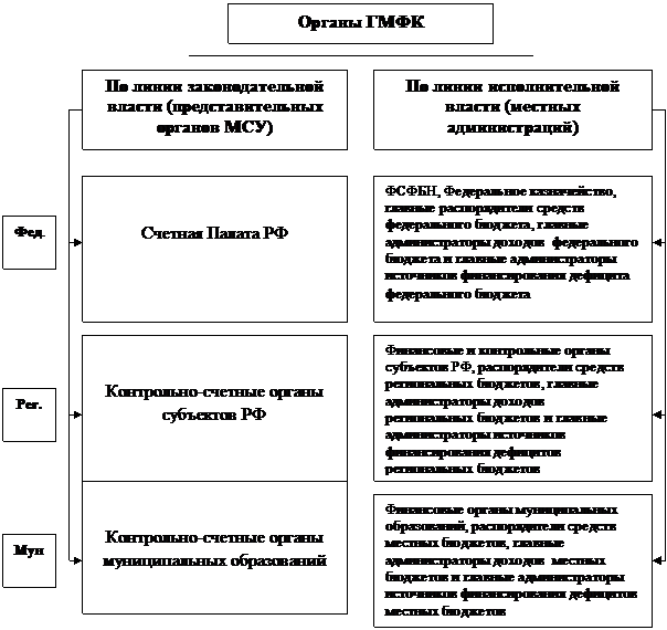 Организационные основы осуществления ГМФК в РФ - student2.ru