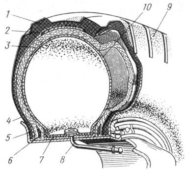 Конструкция пневматической шины - student2.ru
