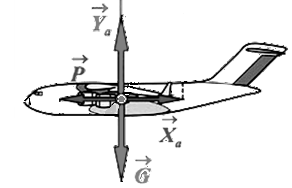 Реализация аэродинамического принципа полёта - student2.ru