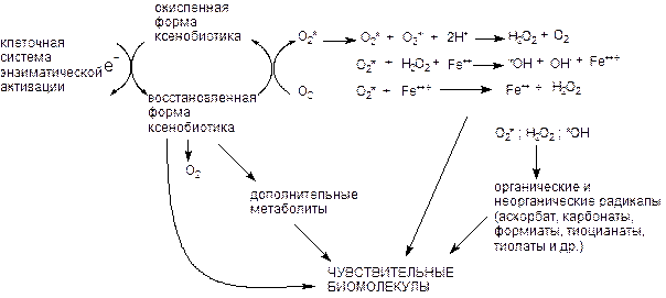 Активация свободнорадикальных процессов в клетке - student2.ru