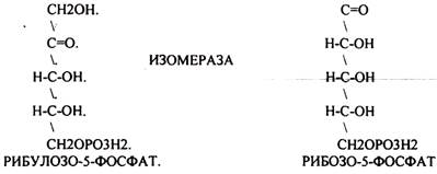 альфа- кетоглутаровая к-та - student2.ru