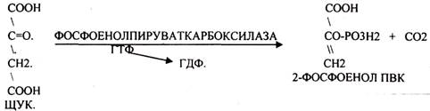 альфа- кетоглутаровая к-та - student2.ru