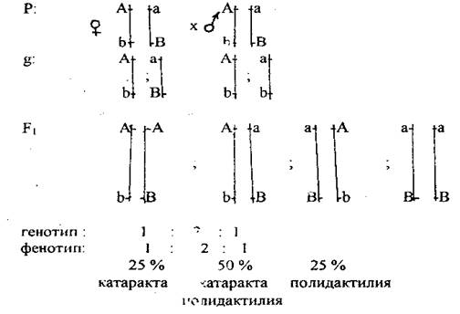 Алгоритм решения задачи № 4 - student2.ru