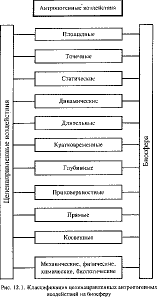 Антропогенные воздействия. Направления этих воздействий. - student2.ru