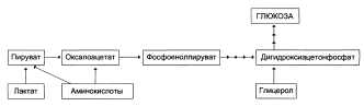 Аэробное расщепление глюкозы - student2.ru