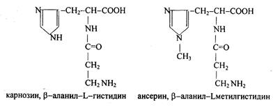 Азотистые экстрактивные вещества мышц - student2.ru