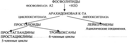 б) в жировой ткани тормозят липолиз - student2.ru