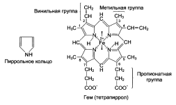 Бактериальное расщепление невсосавшихся в кишечнике аминокислот. - student2.ru