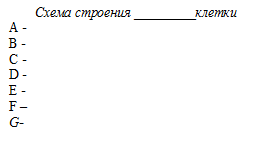 Бактерии не имеют оформленного ядра, поэтому их относят к империи - student2.ru