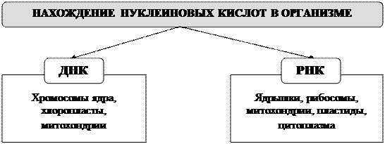 Беляев Д.К. Общая биология: учебник для 10-11 кл. общеобразовательных учреждений / Д.К. Беляев, П.М. Бородин, Н.Н. Воронцов и др. - М.: Просвещение, 2006. - student2.ru