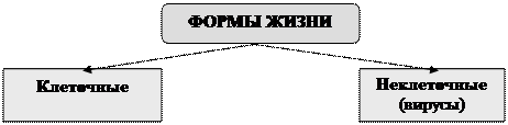 Беляев Д.К. Общая биология: учебник для 10-11 кл. общеобразовательных учреждений / Д.К. Беляев, П.М. Бородин, Н.Н. Воронцов и др. - М.: Просвещение, 2006. - student2.ru