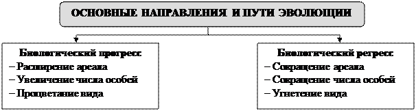 Беляев Д.К. Общая биология: учебник для 10-11 кл. общеобразовательных учреждений / Д.К. Беляев, П.М. Бородин, Н.Н. Воронцов и др. - М.: Просвещение, 2006. - student2.ru