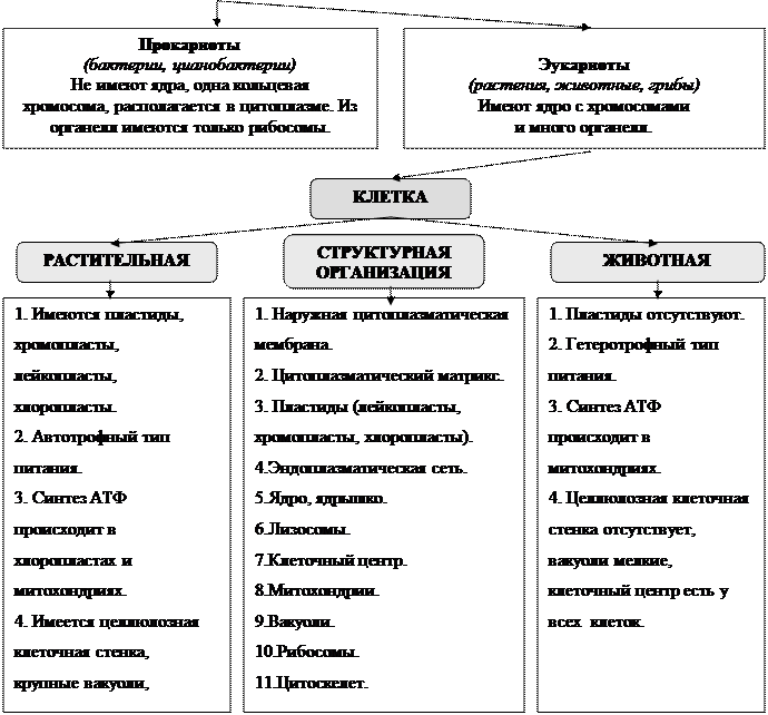 Беляев Д.К. Общая биология: учебник для 10-11 кл. общеобразовательных учреждений / Д.К. Беляев, П.М. Бородин, Н.Н. Воронцов и др. - М.: Просвещение, 2006. - student2.ru