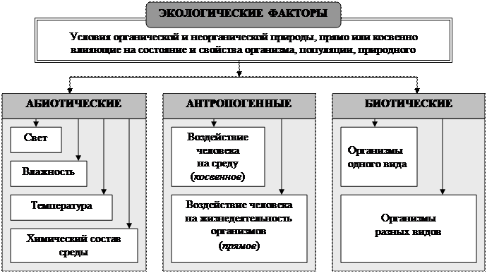 Беляев Д.К. Общая биология: учебник для 10-11 кл. общеобразовательных учреждений / Д.К. Беляев, П.М. Бородин, Н.Н. Воронцов и др. - М.: Просвещение, 2006. - student2.ru