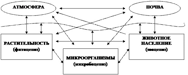 Беляев Д.К. Общая биология: учебник для 10-11 кл. общеобразовательных учреждений / Д.К. Беляев, П.М. Бородин, Н.Н. Воронцов и др. - М.: Просвещение, 2006. - student2.ru