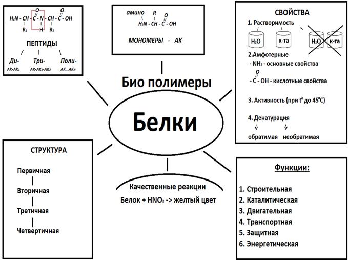 Беляев Д.К. Общая биология: учебник для 10-11 кл. общеобразовательных учреждений / Д.К. Беляев, П.М. Бородин, Н.Н. Воронцов и др. - М.: Просвещение, 2006. - student2.ru