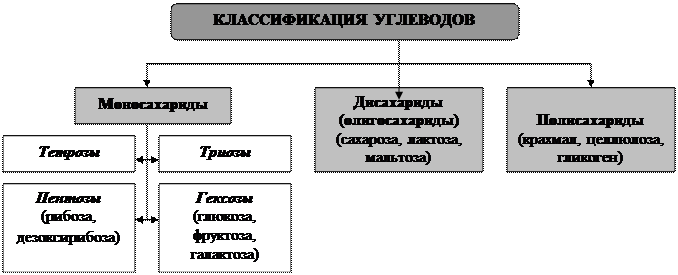 Беляев Д.К. Общая биология: учебник для 10-11 кл. общеобразовательных учреждений / Д.К. Беляев, П.М. Бородин, Н.Н. Воронцов и др. - М.: Просвещение, 2006. - student2.ru