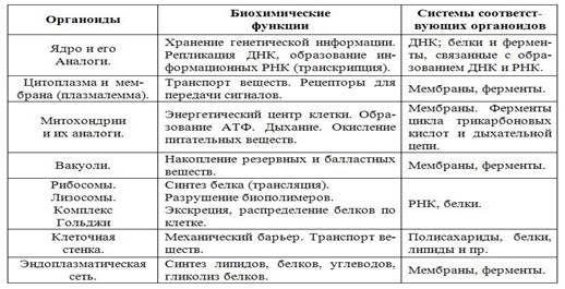 Билет 19. Биологическое и социальное у австралопитека, питекантропа, неандертальца, кроманьонца. - student2.ru