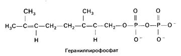 Биосинтез ненасыщенных жирных кислот - student2.ru