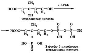 Биосинтез ненасыщенных жирных кислот - student2.ru