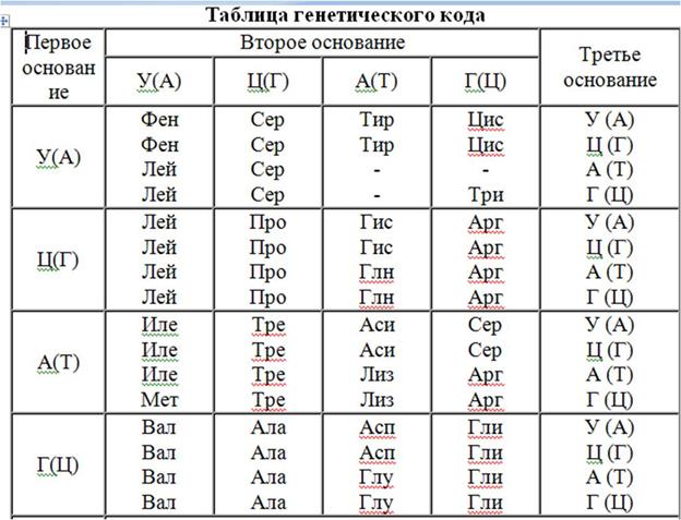 Биосинтез пуриновых нуклеотидов - student2.ru