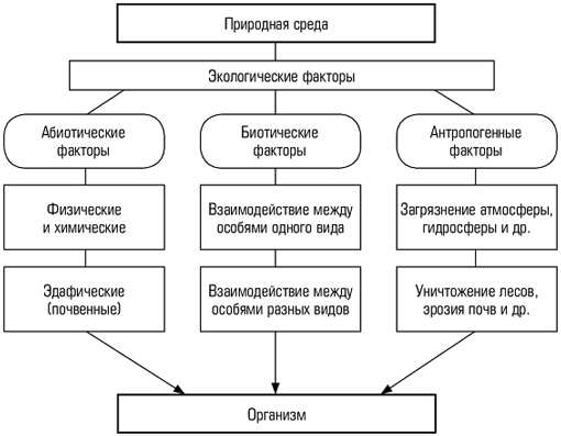 Биотические и абиотические факторы среды , воздействующие на организм. - student2.ru