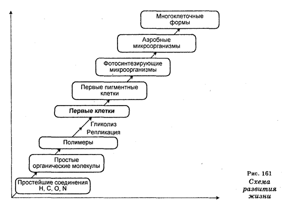 Ч. Дарвин и его теория эволюции - student2.ru