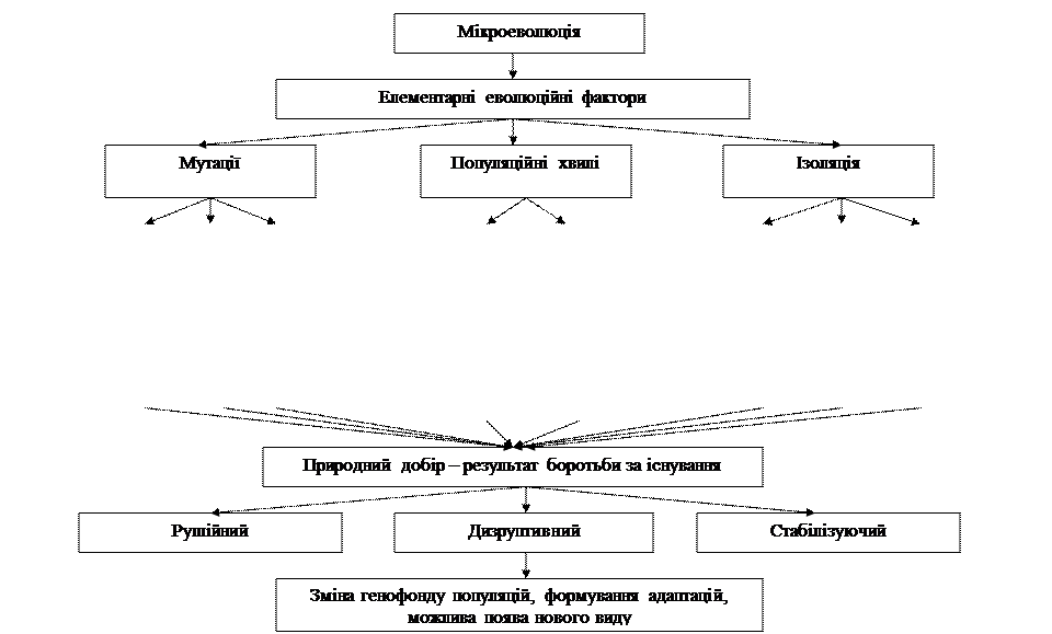 Chrysops dimidiate, Chrysops silacea; - student2.ru