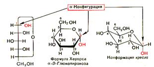 Цикл изображается плоским - student2.ru