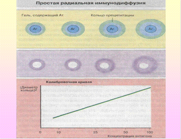 динамика выработки антител - student2.ru
