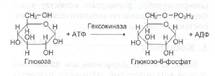 Дополнительный список – 2006 год - student2.ru