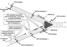 Дополнительный список – 2006 год - student2.ru