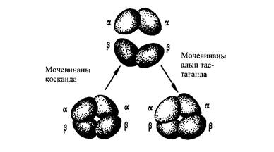 Ферменттер жалпы қасиеттері, әсер ету механизмдері. - student2.ru