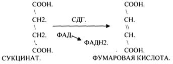 ФЕРМЕНТЫ (продолжение) - student2.ru