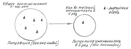 Формы естественного отбора - student2.ru