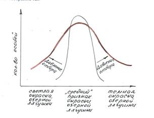 Формы естественного отбора - student2.ru