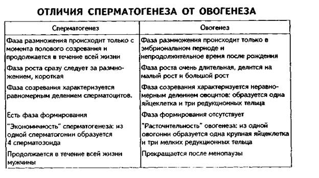 Функции блестящей оболочки - student2.ru