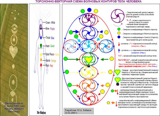 Геном и структура волновых энергоцентров. - student2.ru
