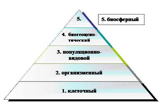 Геологическая картина мира. Тема 9. Земля и её строение, геологическая история - student2.ru