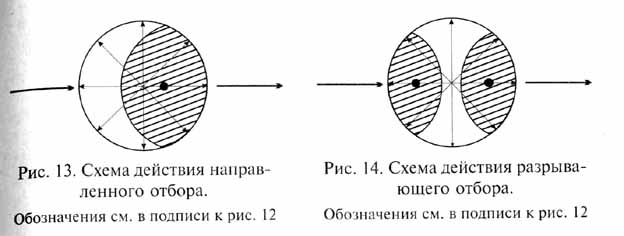 глава 3. факторы эволюции - student2.ru